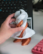 Buste Anatomique en Spirale