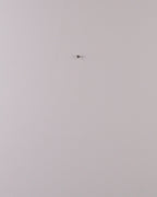 Couronne “Patte de Noël”