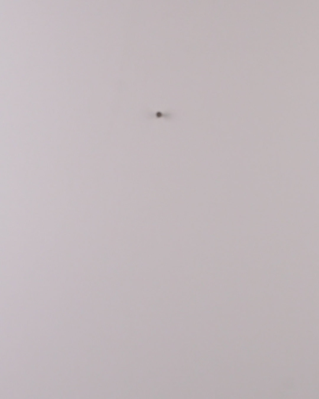 Couronne “Patte de Noël”