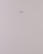 Couronne “Entrée Scintillante”