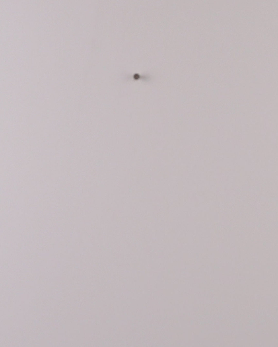 Couronne “Entrée Scintillante”